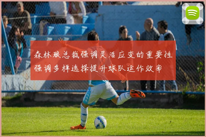 森林狼总裁强调灵活应变的重要性强调多样选择提升球队运作效率